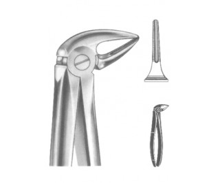 Extracting Forceps English pattern